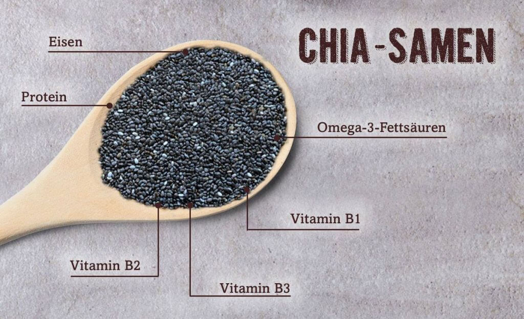 Chia Samen - Inhaltsstoffe der kleinen Körner