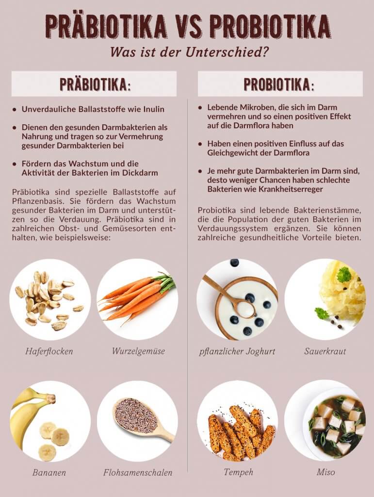 Präbiotika vs Probiotika - Unterschiede