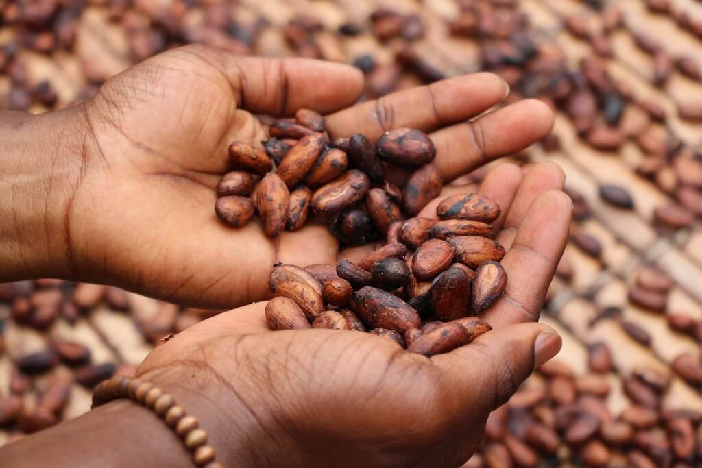 Kakaoproduktion