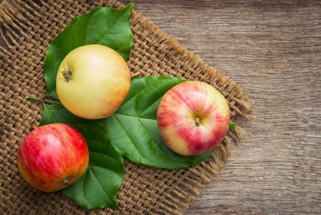 Ballaststoffe machen Äpfel beosnders gesund